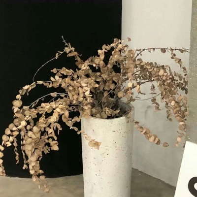 Furry黑白线稿教程FurryQQ群